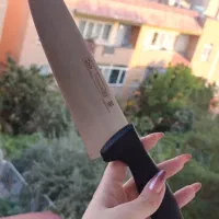 چاقو آشپزخانه