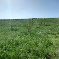 فروشی|فروش دفتر صنعتی، کشاورزی، تجاری|اهر, |دیوار