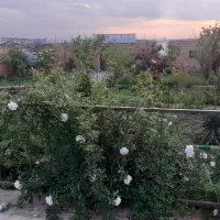 باغ هزار متری کلاکوب جاده کلات|فروش خانه و ویلا|مشهد, کلاکوب|دیوار