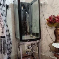 آکواریوم|ماهی|سبزوار, توحیدشهر|دیوار