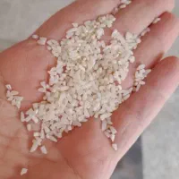 برنج ایرانی خرید مستقیم از برنجکار|خوردنی و آشامیدنی|بوشهر, |دیوار