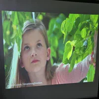 ویدیو پروژکتور پاناسونیک لیزری RZ 370 FULL HD|تلویزیون و پروژکتور|تهران, جمال‌زاده|دیوار