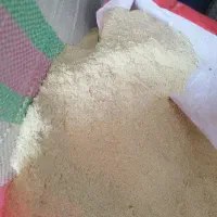 پوشال زیر رنده چوب خاک اره|لوازم جانبی حیوانات|شیراز, گچی|دیوار