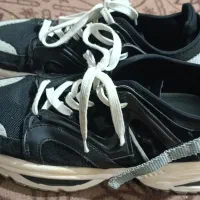 کفش اسپرت eaf