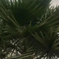 انباریاگاراژبرای-رهن-یا-اجاره-می-خوام