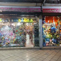 فروشنده خانم در اسباب بازی فروشی