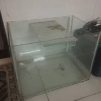آکواریوم 6میل