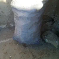 زغال|کوهنوردی و کمپینگ|قلعه ممبی, |دیوار