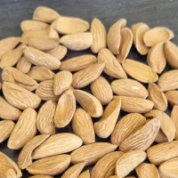 خرید و فروش بادام (شرکت رامون مهر ماهان )