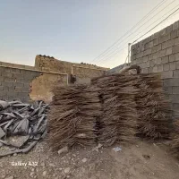 خرید سیم باغی کشاورزی|خدمات باغبانی و درختکاری|شبانکاره, |دیوار