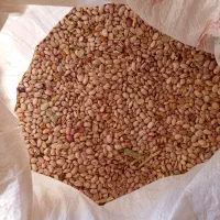 لوبیا چیتی محلی