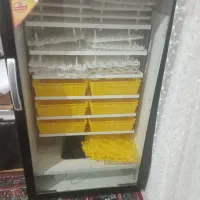 دستگاه جوجه کشی|ماشینآلات صنعتی|تربت جام, شهرک آزادگان|دیوار