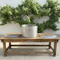 تجهیزات تخصصی طبخ برنج و خورشت مدل PRO-COOK-365-B