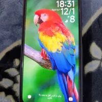 شیامی( ردمی نوت11 )تمیز در حد نو