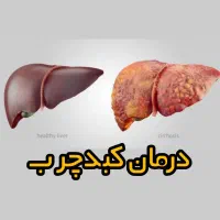 پاکسازی بهبود کبد