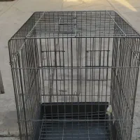 قفس پرنده