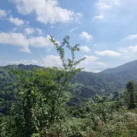 بلندترین نقطه ویو جنگل و دریا و تمام شهرهای با سند|فروش زمین و ملک کلنگی|چابکسر, |دیوار