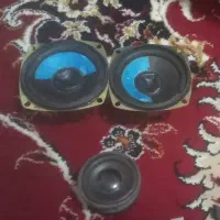 ۳ تا باند نو فوری