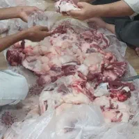 به یک آشپز نیازمندیم
