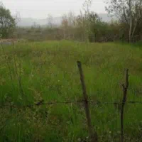 خانه ویلایی و زمین مسکونی و زراعی