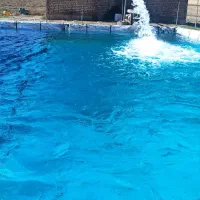 چادر صحرایی(سایبان گونی)