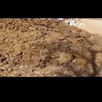 کشاورزی|حیوانات مزرعه|سلیمان, |دیوار