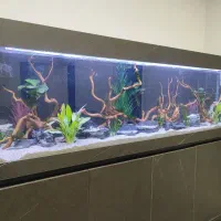 ساخت آکواریوم/ ریملس/ نصب و سرویس اکواریوم/ طراحی