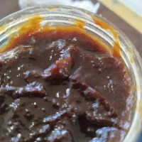 رب آلوچه و رب انار