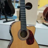 گیتار پیکاپدار