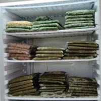 سبزیجات سرخ شده /پیاز داغ/ماکیان محلی