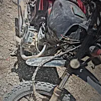 همتاز شکاری 200