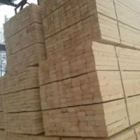 چوب نراد .وصنوبر روسی .جنگلی ارزان تر از همه جا|عمدهفروشی|رشت, سلیمانداراب|دیوار