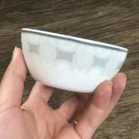 سرویس ارکوپال