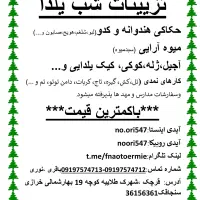 میوه آرایی وتزیینات شب یلدا|خوردنی و آشامیدنی|قرچک, شهرک طلائیه|دیوار