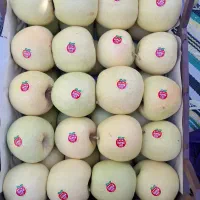 سیب درختی درجه ممتاز|خوردنی و آشامیدنی|تهران, محمودیه|دیوار