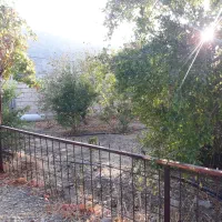 باغ ویلایی در گناوه لری|فروش خانه و ویلا|دوگنبدان, |دیوار