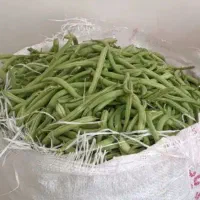 لوبیا سبز