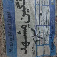 فرش ۱۲ متری|فرش|مشهد, حجت|دیوار