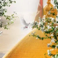سفر هوایی کربلا اقساطی|تور و چارتر|کرمان, |دیوار