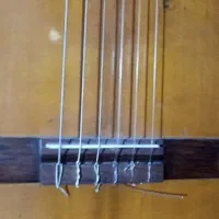 گیتار کلاسیک وینتیج|گیتار، بیس، امپلیفایر|کرج, شهرک بنفشه|دیوار