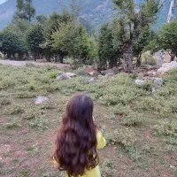زمین مسکونی توی بافت روستا،واقع درروستای بالاچلی|فروش زمین و ملک کلنگی|فاضل آباد, |دیوار