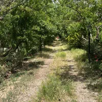 باغ ۶۰۰۰ هزار متری  فیروز بهرام