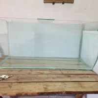 اکواریوم در سلیز ۳۲ در۸۸ با شیشه خم و تجهیزات|ماهی|یزد, |دیوار