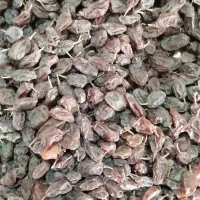 کشمش آفتابی|خوردنی و آشامیدنی|شهرکرد, |دیوار