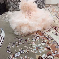 لباس عروس نوزادی