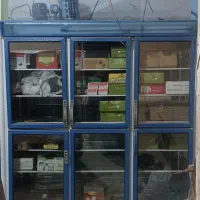 یخچال فروشگاهی شش در