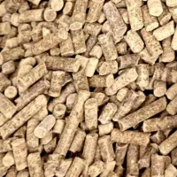 منشی دفتر فروش جوجه و نهاده های دامی