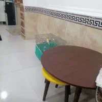 قناری زرد و قناری گونه سفید