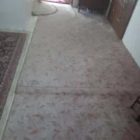 موکت|موکت|دورود, |دیوار
