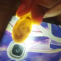 نگین شجر|جواهرات|خمینیشهر, |دیوار